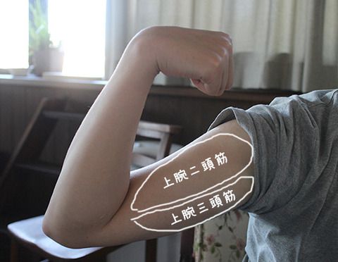 【NHKあさイチ】二の腕のたるみを解消し痩せるエクササイズ紹介