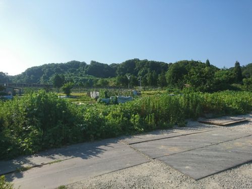 今朝の体重(麺だけダイエット７９１日目)