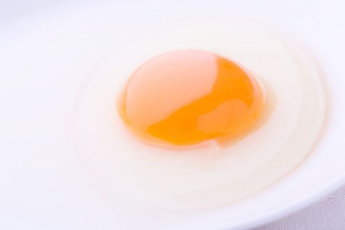 卵ダイエットって効果はあるの？ 注意点や効果的なやり方を知りたい！