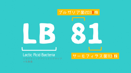 LB81乳酸菌ヨーグルトは〇〇に効く？！その正体・特徴・効果をまとめてみたよ♪