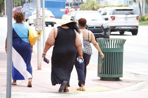 肥満は様々な病気を引き起こす！メタボリックドミノとは？？