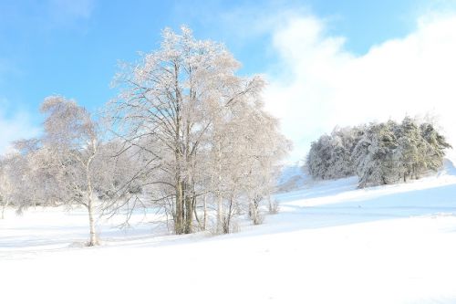 「二十四節気」を参考に「冬」の養生。食事＆生活で気を付けること。