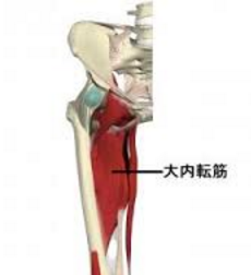 反り腰の治し方で最初にストレッチすべき大事な筋肉とは？