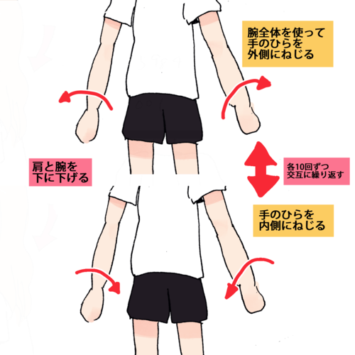 たったこれだけ？あっという間に二の腕が細くなるエクササイズ4選