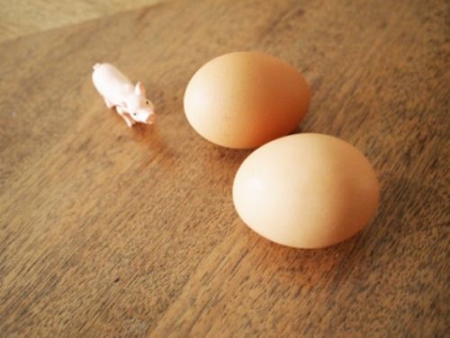 エコで簡単なシンクのお掃除方法！卵の殻で驚くほどツルツルピカピカ