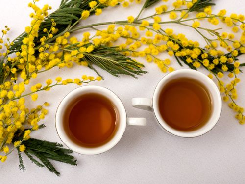 コーン茶の効果効能。美味しくてノンカフェインな健康茶の魅力