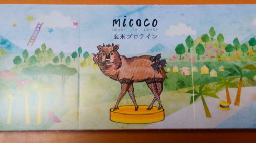 micoco玄米プロテインの最安値購入から味と効果を口コミします
