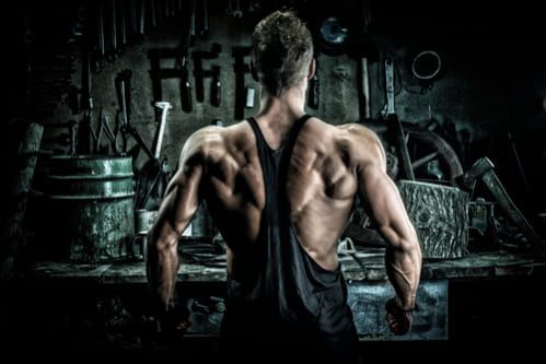 かっこいい背中のトレーニングガイド｜背中の筋肉からおすすめの筋トレ種目までを確認！