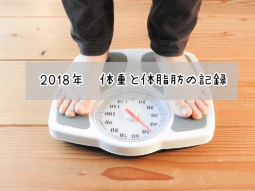 2017年に10kg減達成したまとめ！と2018年の体重と体脂肪は？