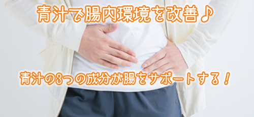 青汁で乱れた腸内環境を改善！効果的な3つの成分とオススメ青汁を紹介します。